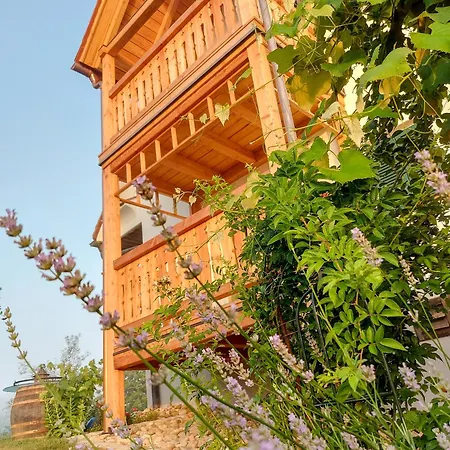 Sonnenhaus Grandl * Feldbach (Styria)