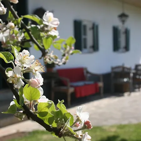 Sonnenhaus Grandl Apartment