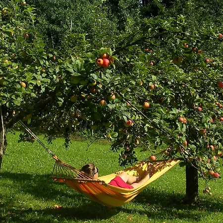 Apartment Sonnenhaus Grandl *